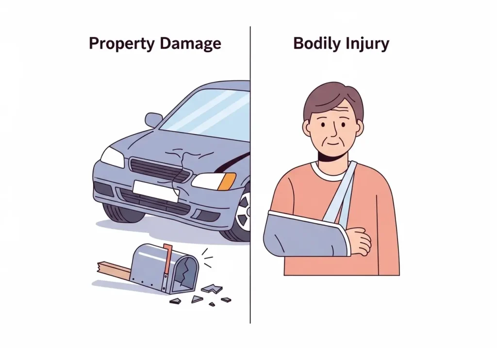 property damage and bodily injury